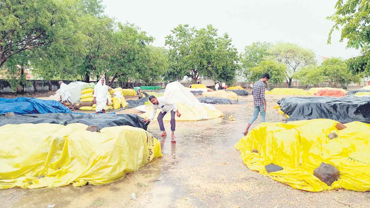 వడ్లన్నీ వర్షార్పణం
