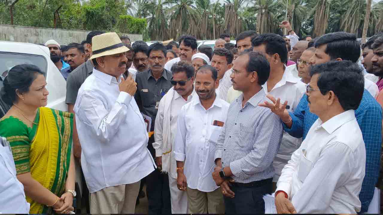 దీర్ఘకాలిక ఆదాయం ఇచ్చే పంట ఆయిల్పాం