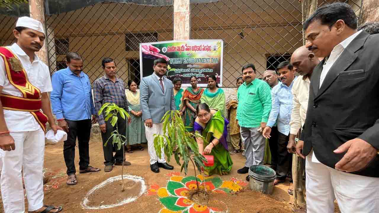 మొక్కలు నాటి పర్యావరణాన్ని కాపాడాలి