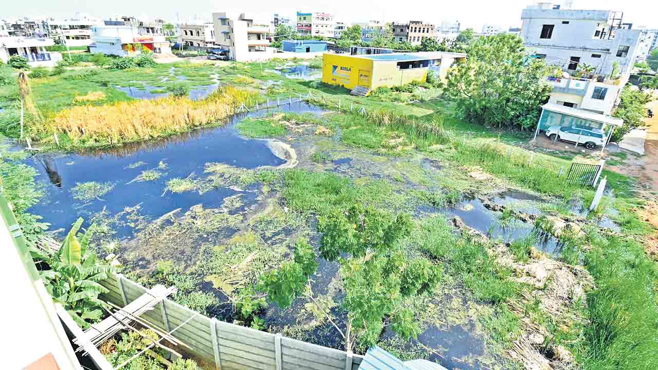 నమ్మండి.. ఇది పార్కే..