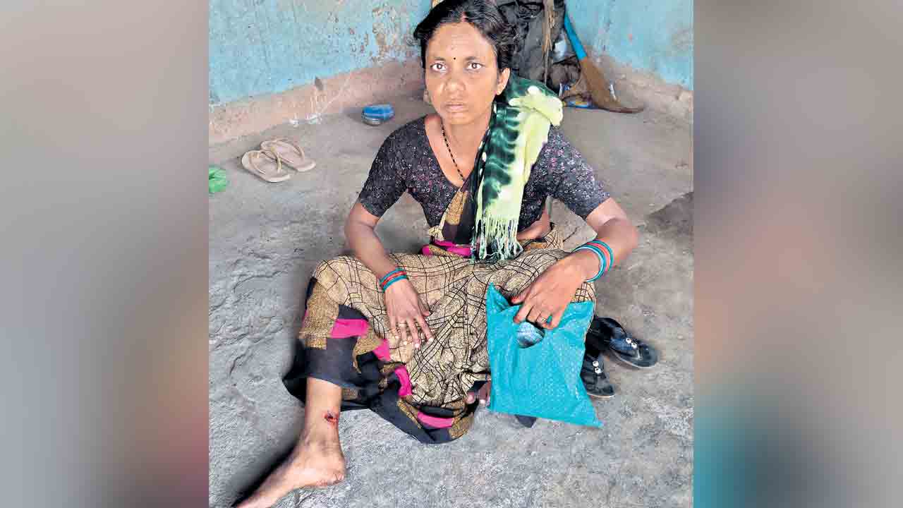 రెంజల్‌లో వీధి కుక్కల స్వైర విహారం