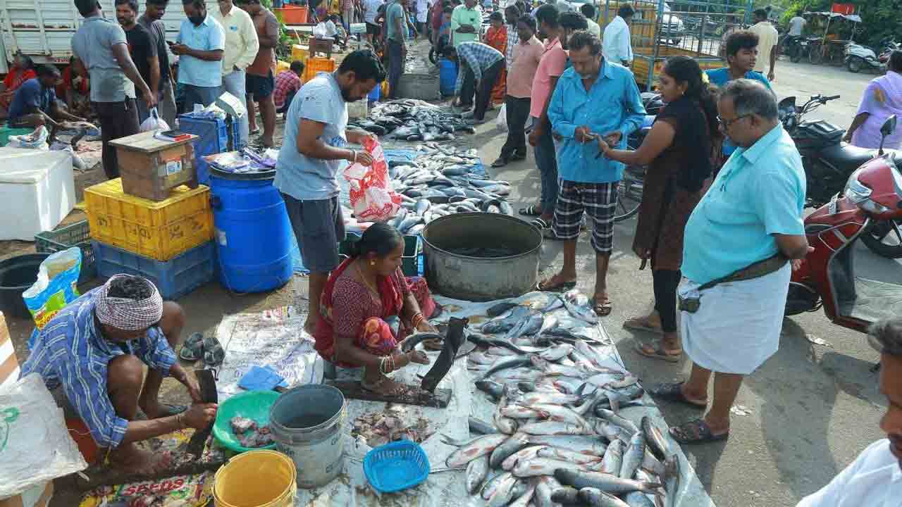 మృగశిర సందడి