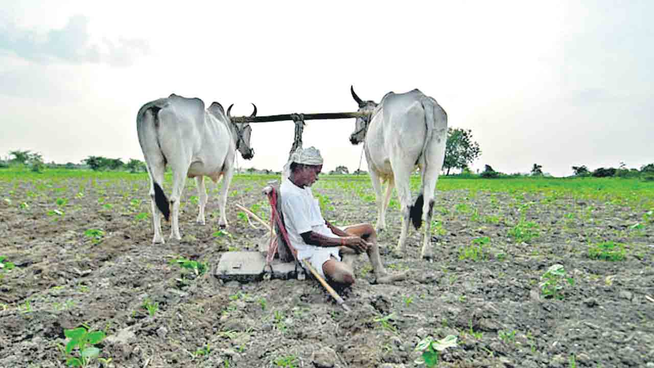 Rythu Runa Mafi | రుణమాఫీ కొందరికే?.. పీఎం కిసాన్‌ నిబంధనలను రుద్దితే సగం మందికి రానట్టే!