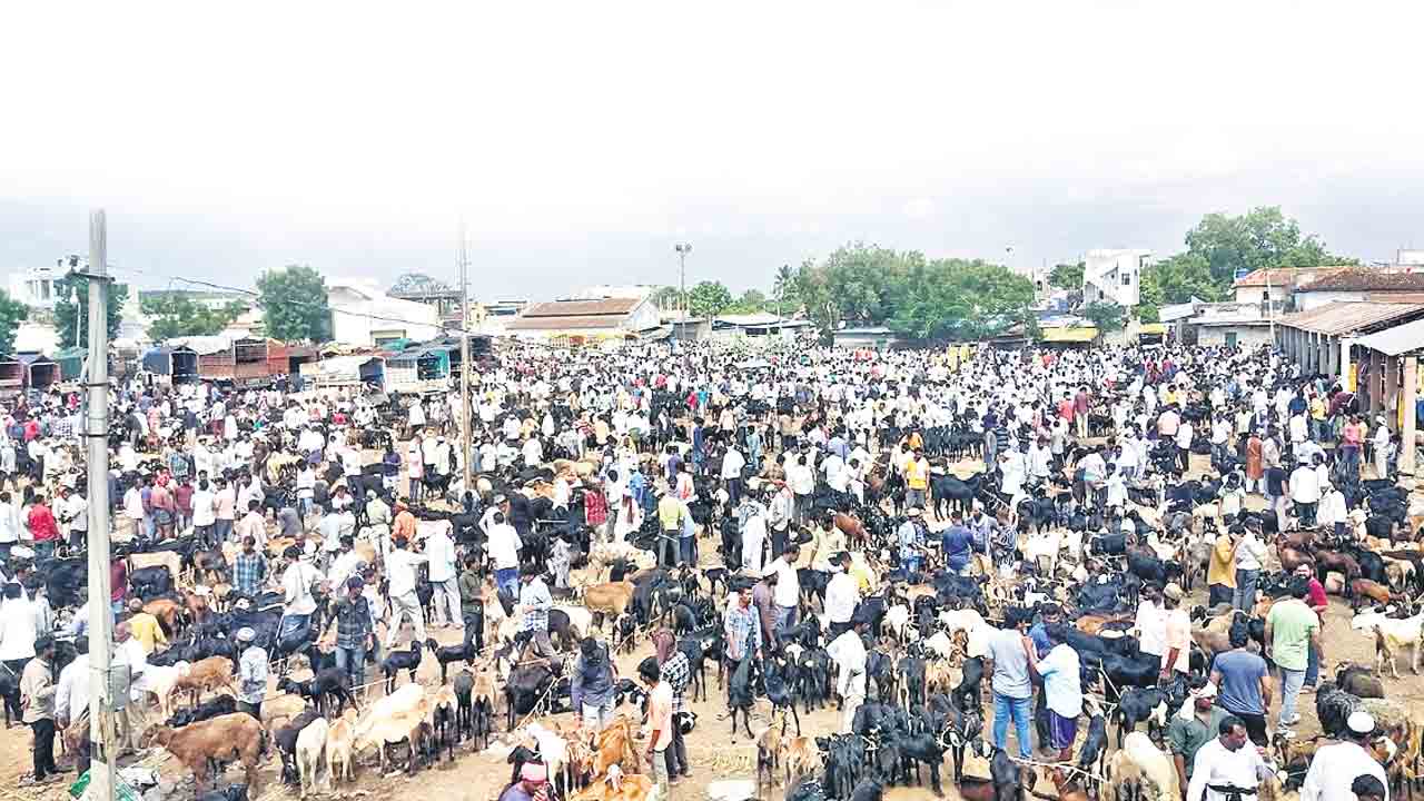 నవీపేట మేకల సంత @ రూ.4కోట్లు