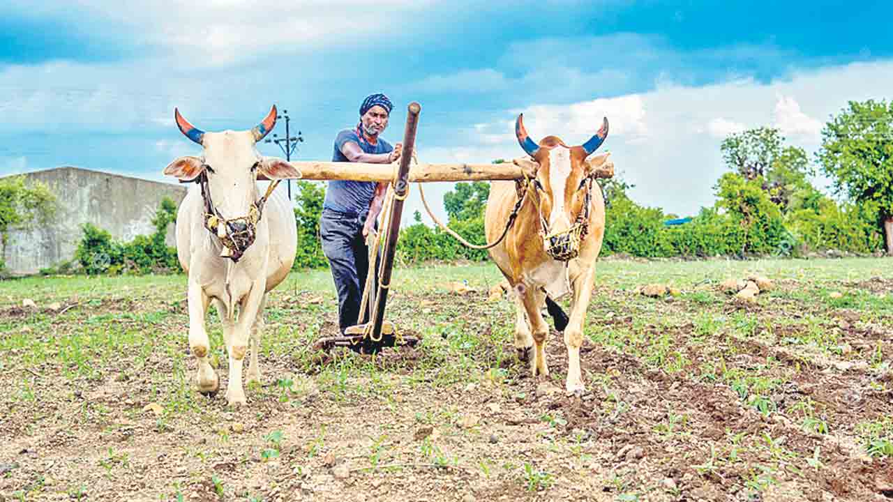 రైతు భరోసా రాక.. రుణాలందక