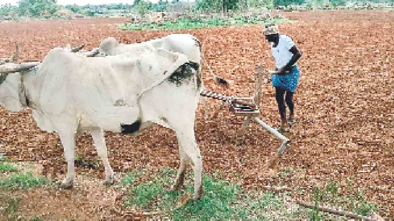 ఊరిస్తూ.. ఉసూరుమనిపిస్తూ..