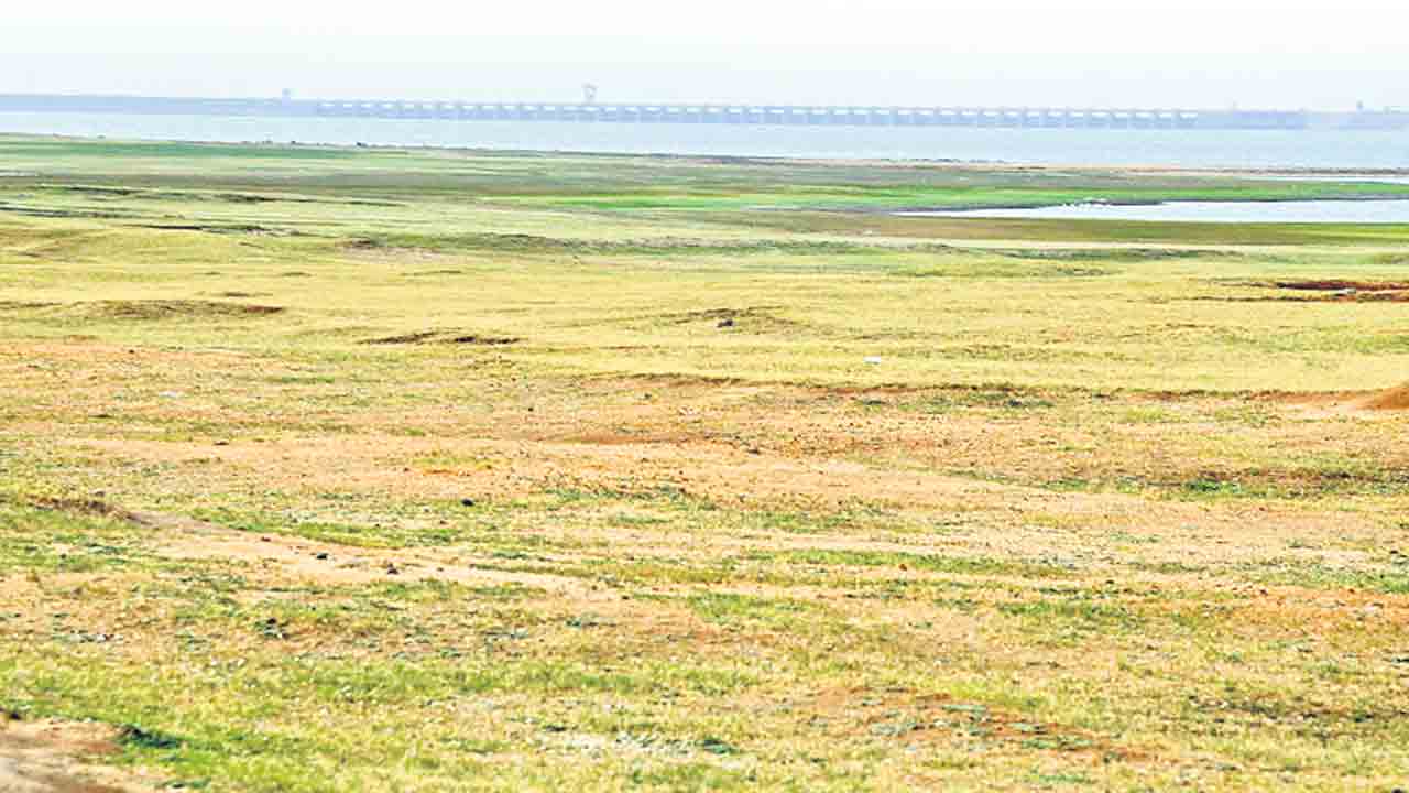 ఎస్సారెస్పీ సామర్థ్యం.. డౌన్‌