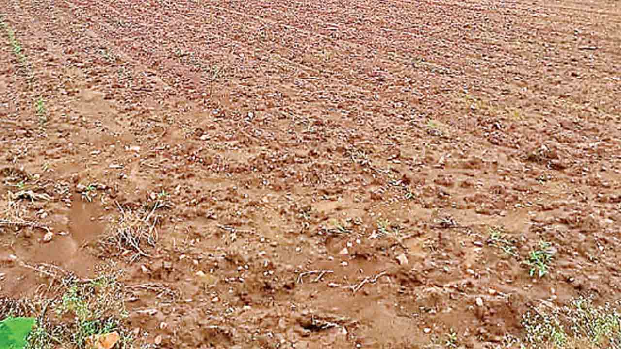 Gajularamaram | భూ ఆక్రమణదారులపై క్రిమినల్‌ కేసు