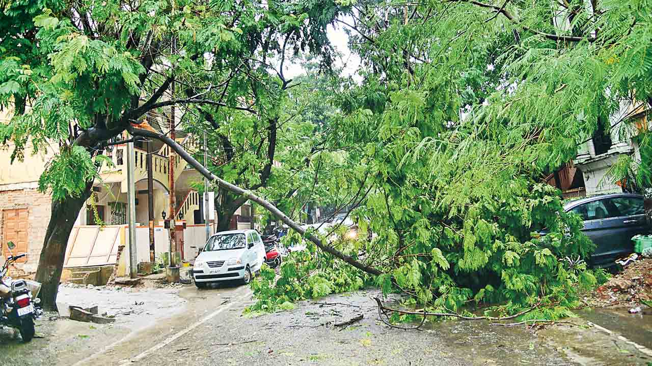 Hyderabad | గంట వానకే అతలాకుతలం