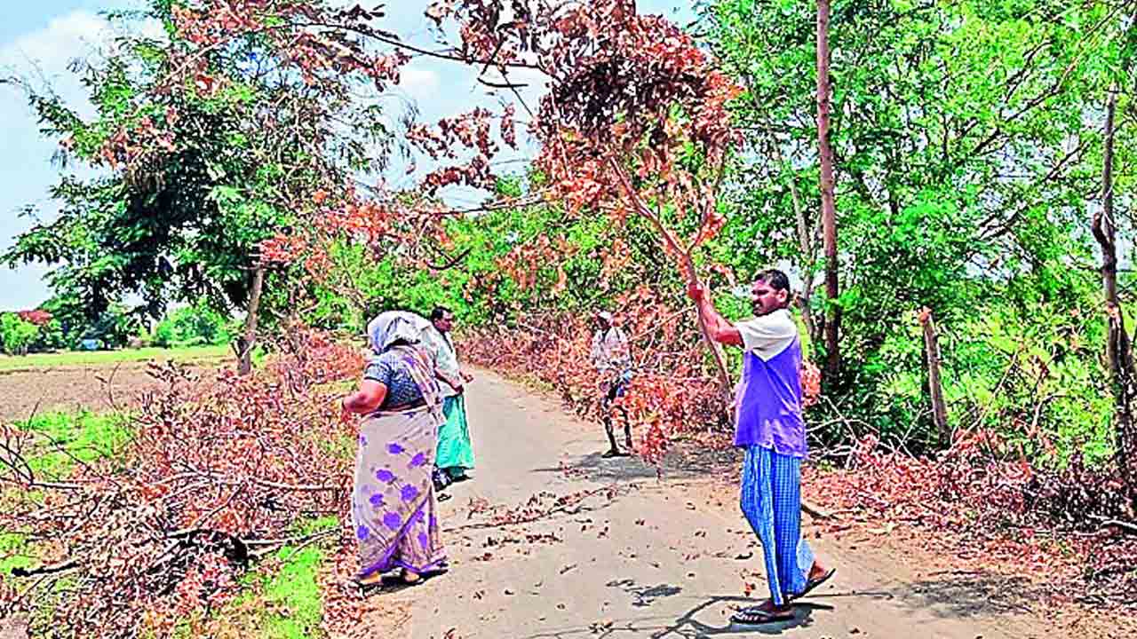 రోడ్డుపై చెట్ల కొమ్మల తొలగింపు