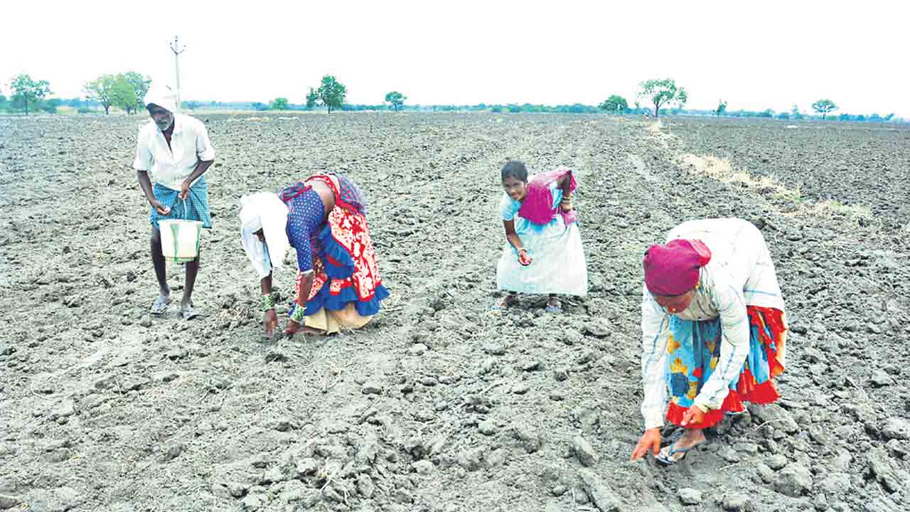 కాసులకు రైతుల ఇక్కట్లు..!