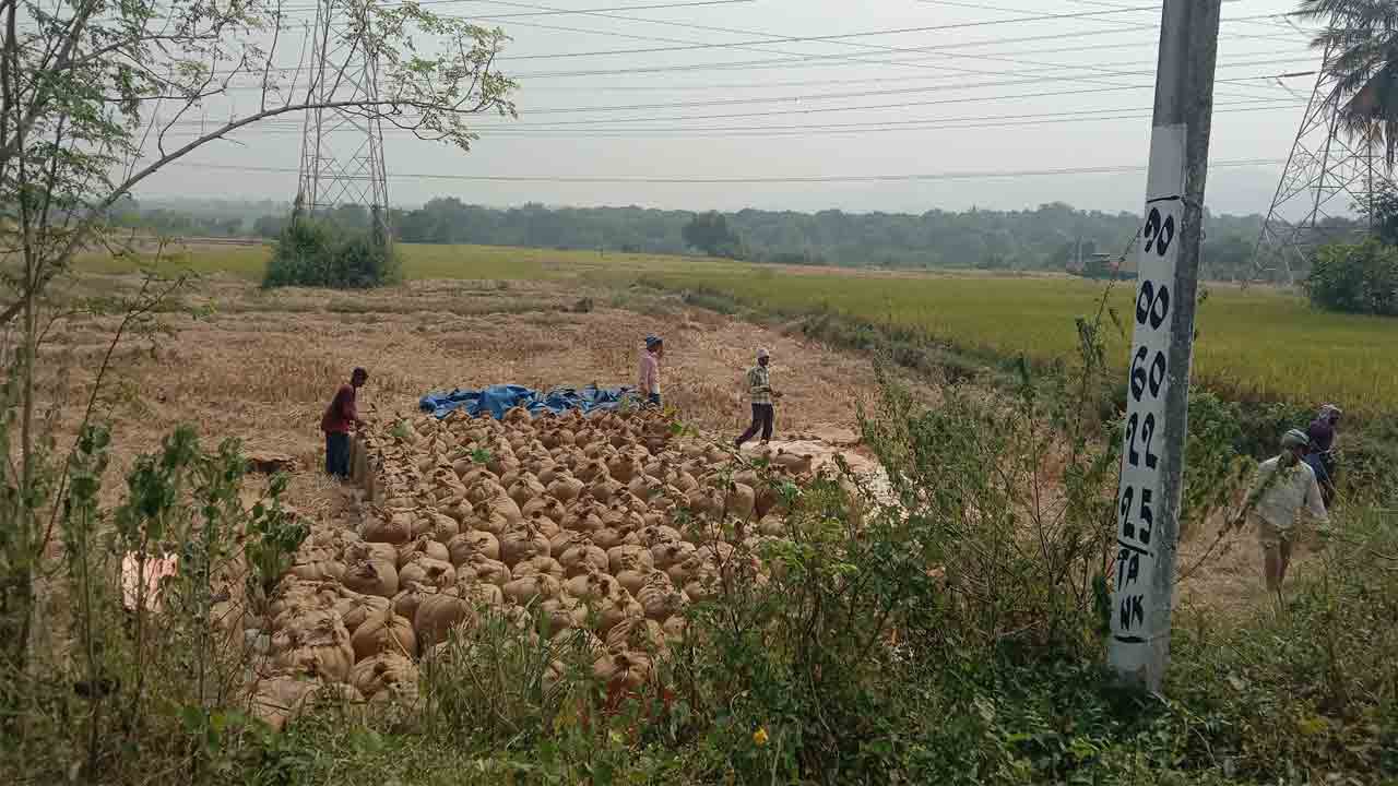 పంట ఎటువాయె..