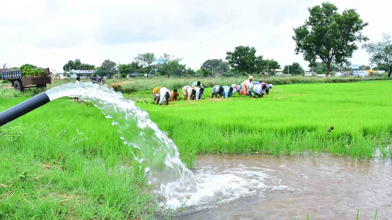 24 గంటల కరెంటుతోనే నల్లగొండ సస్యశ్యామలం