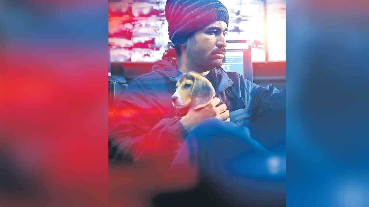 Vijay Antony | వెతికా నేనే నా జాడే.. అంటున్న విజయ్‌ ఆంటోనీ