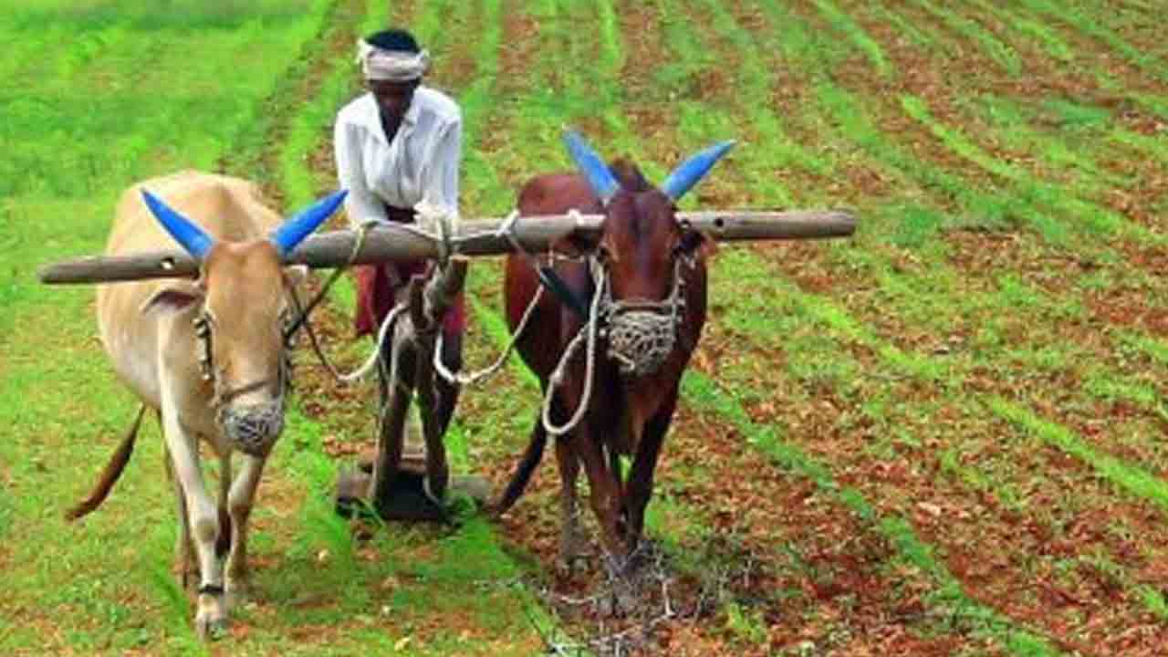 Rythu Bharosa | కోతలయ్యాకే రైతుభరోసా.. సెప్టెంబర్‌ దాకా పెట్టుబడిసాయం లేనట్టే