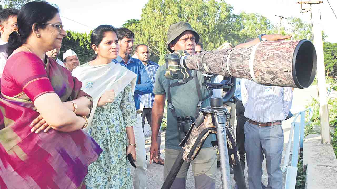 అంతర్జాతీయ గుర్తింపు దిశగా మంజీరా అభయారణ్యం