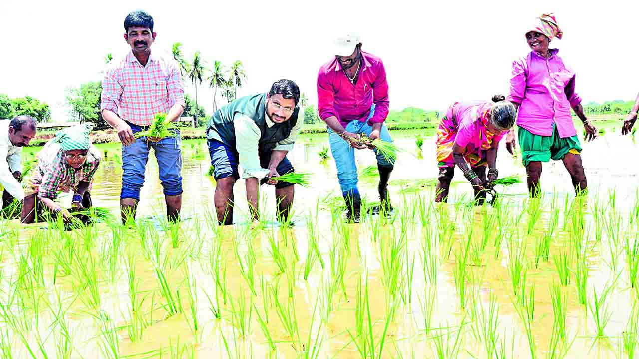 పొలంలో దిగి.. నాట్లేసి