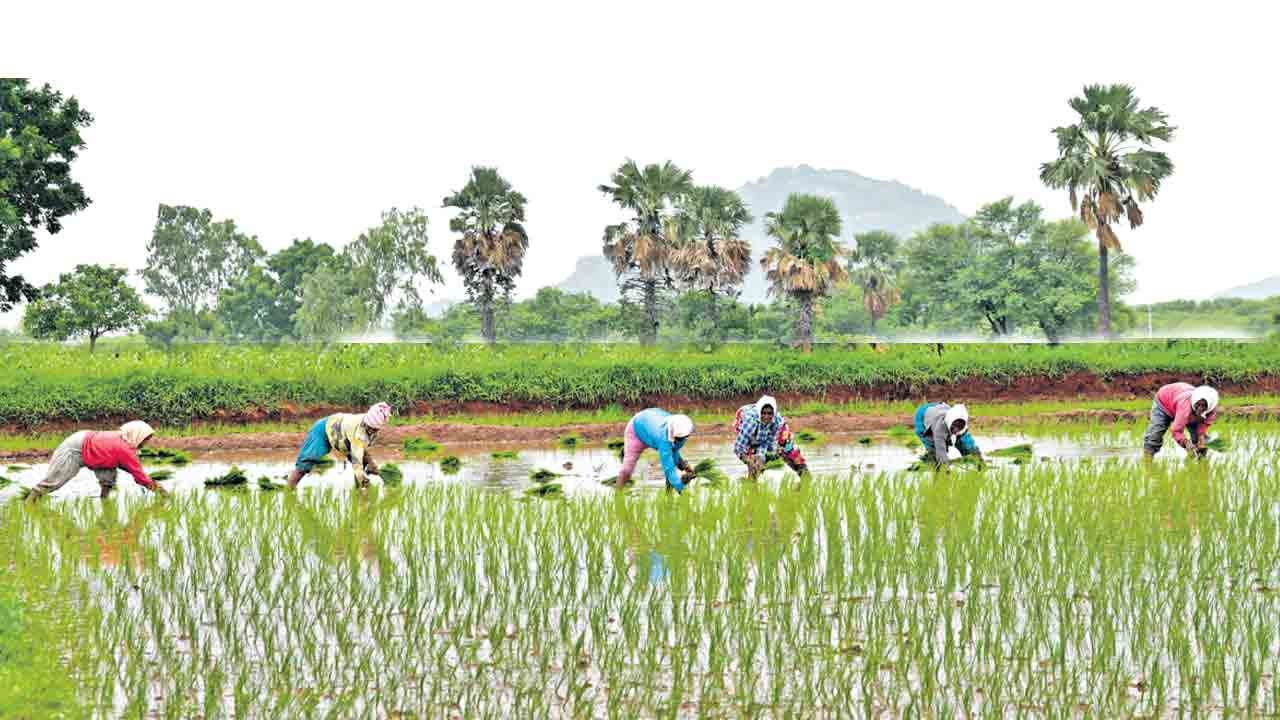 సమయానికి భరోసా ఇవ్వాలి..