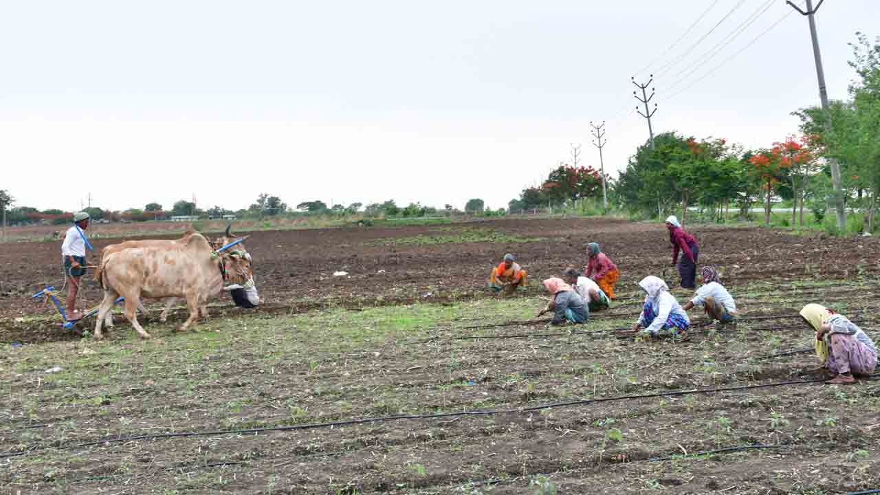గంపెడాశలతో..