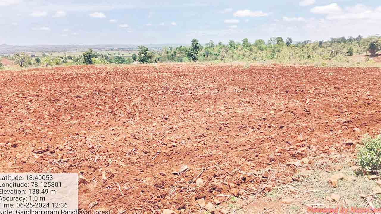 అటవీ జాగా.. వేసెయ్‌ పాగా..