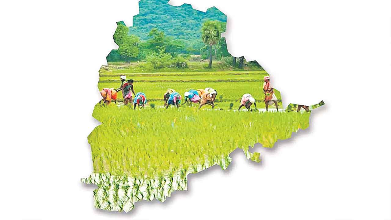 Telangana | తప్పటడుగులు వేస్తున్న తెలంగాణ