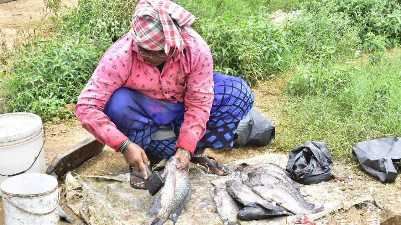 మృగశిర ఆగమనం