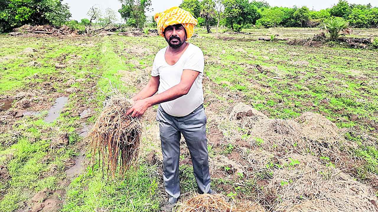 కరెంట్‌ పై ఆటలోద్దు..