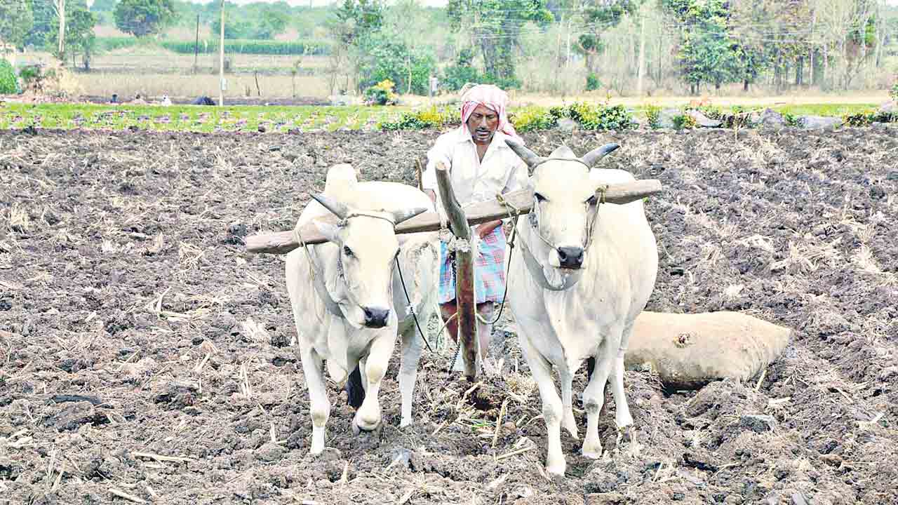 కష్టాల సాగు