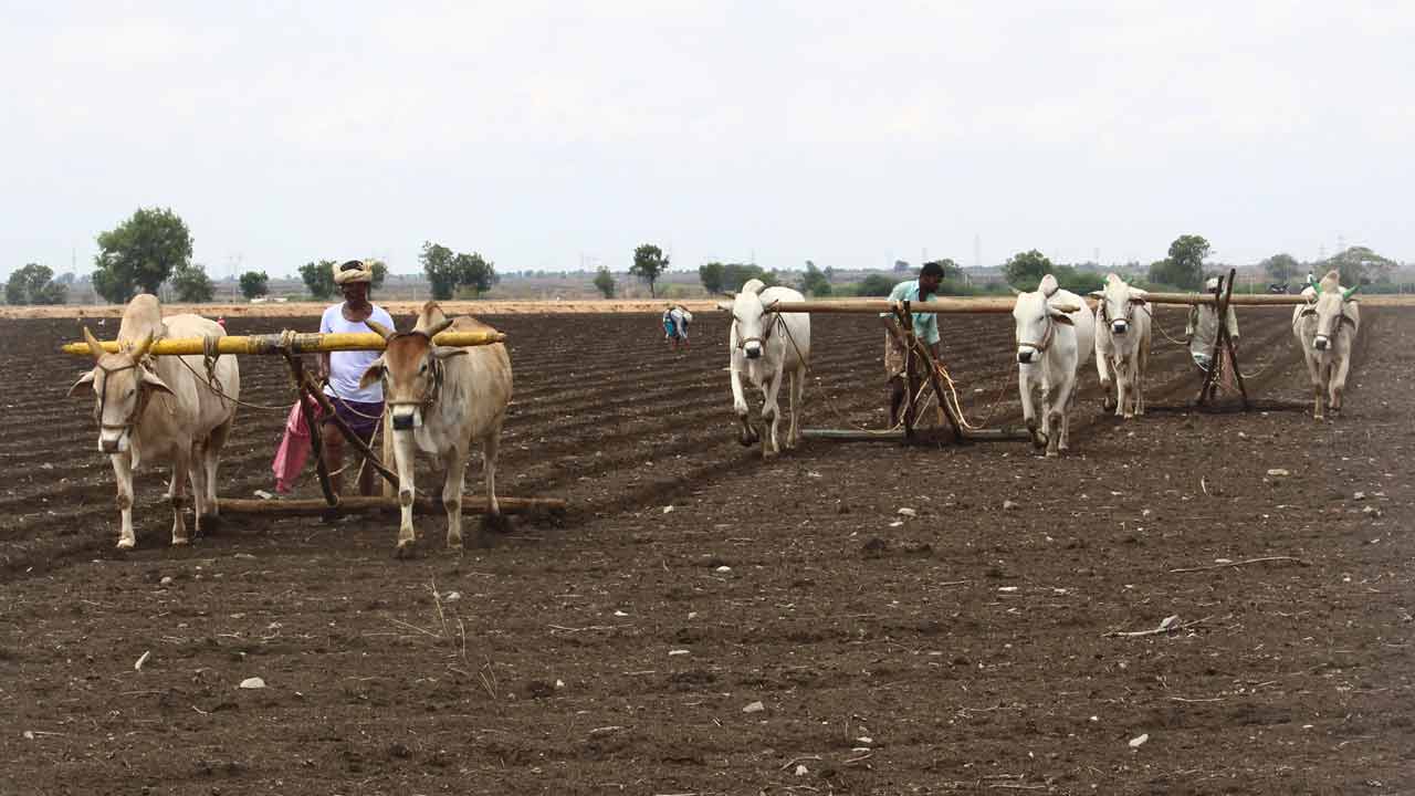 రుతురాగం