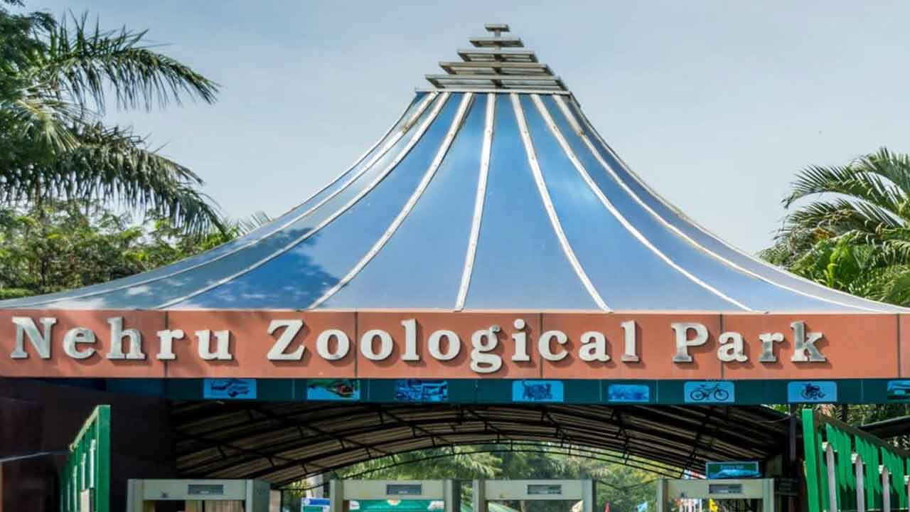 Zoo Park | ఆ వార్తల్లో నిజం లేదు.. జూపార్క్‌ తరలింపు అవాస్తవం: రాష్ట్ర వైల్డ్‌లైఫ్‌ చీఫ్‌