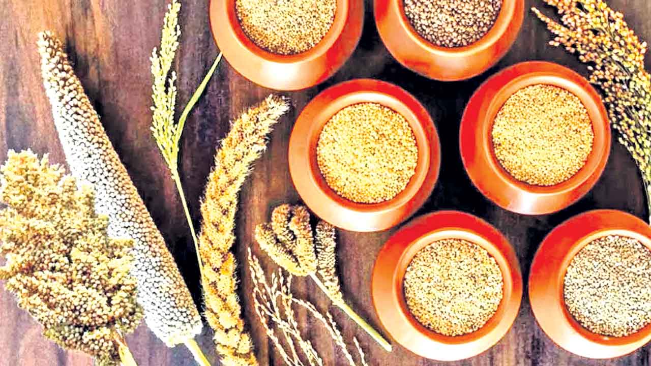 కేంద్రీయ అటవీ నేలల పరిశోధన కేంద్రం ఎక్కడ ఉంది?