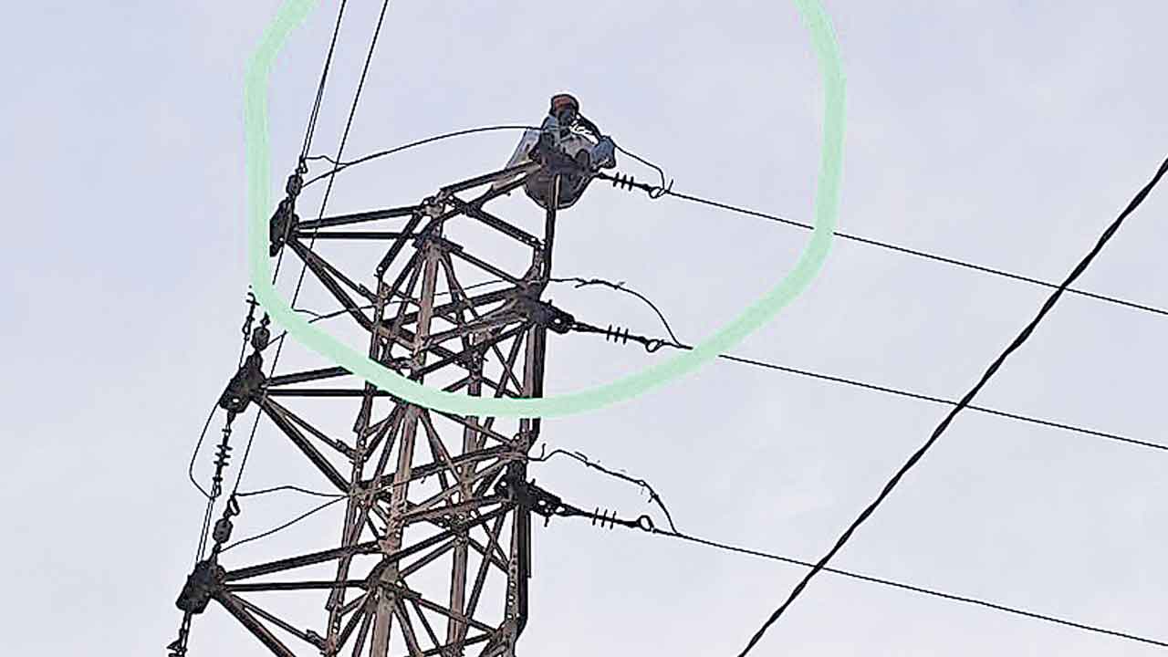 మద్యం మత్తులో విద్యుత్తు స్తంభంపైకి..