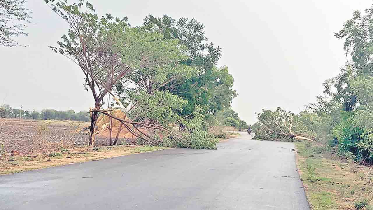 వర్ష బీభత్సం