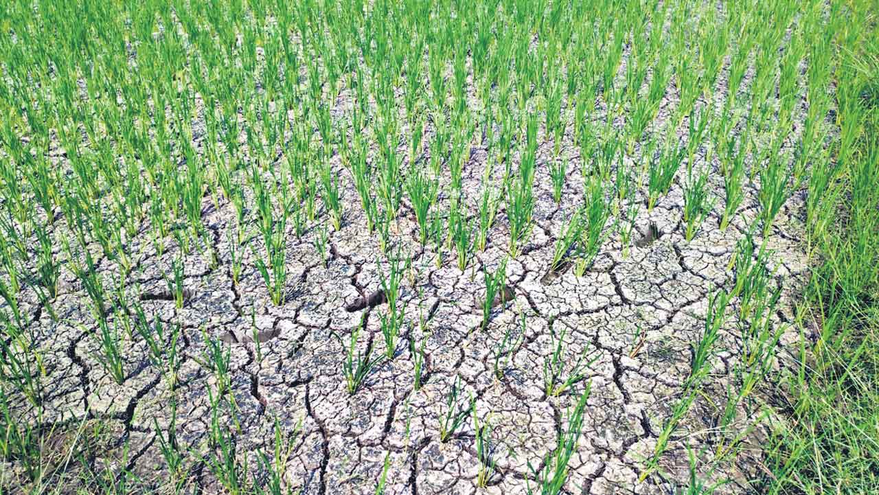 చెయ్యి తడిపితేనే కరెంటు!