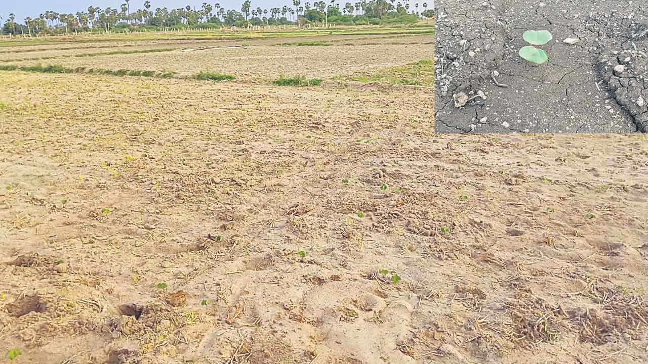 వరుణ దేవుడా కరుణించు