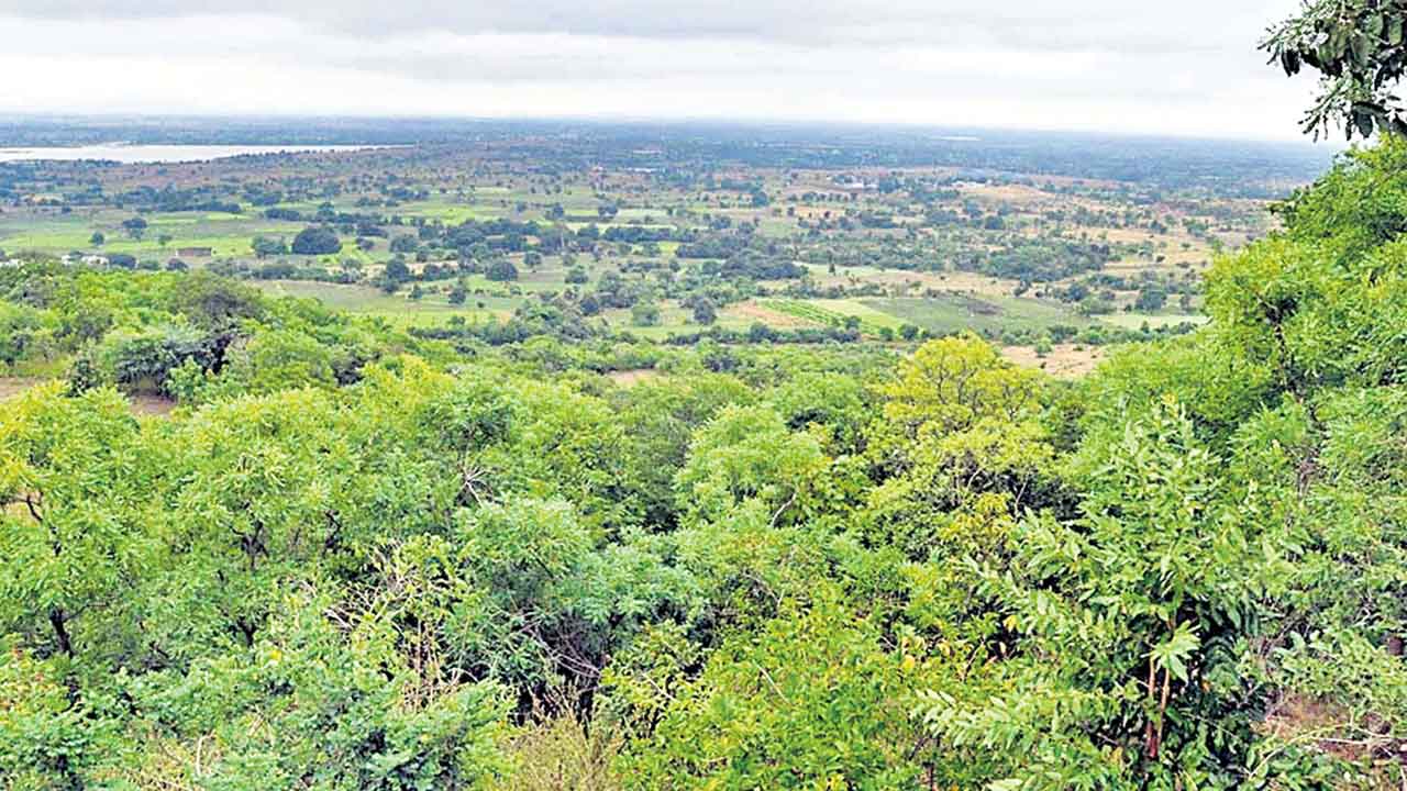 కొత్త పద్ధతులతో కబ్జాలకు చెక్