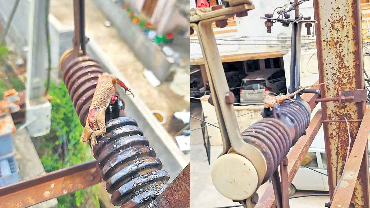 కోతలపై వితొండ వాదం