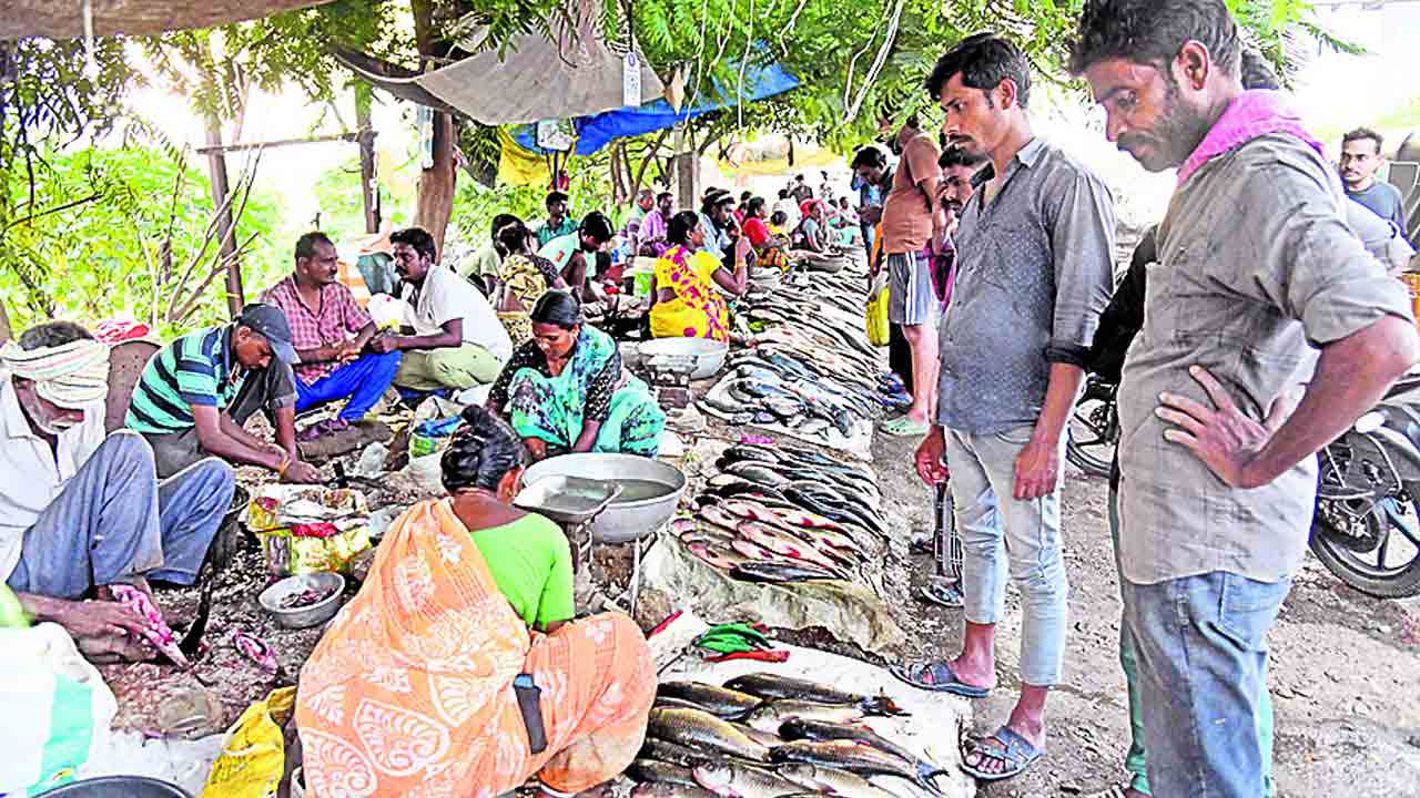 ఉమ్మడి జిల్లాలో మృగశిర జోష్‌