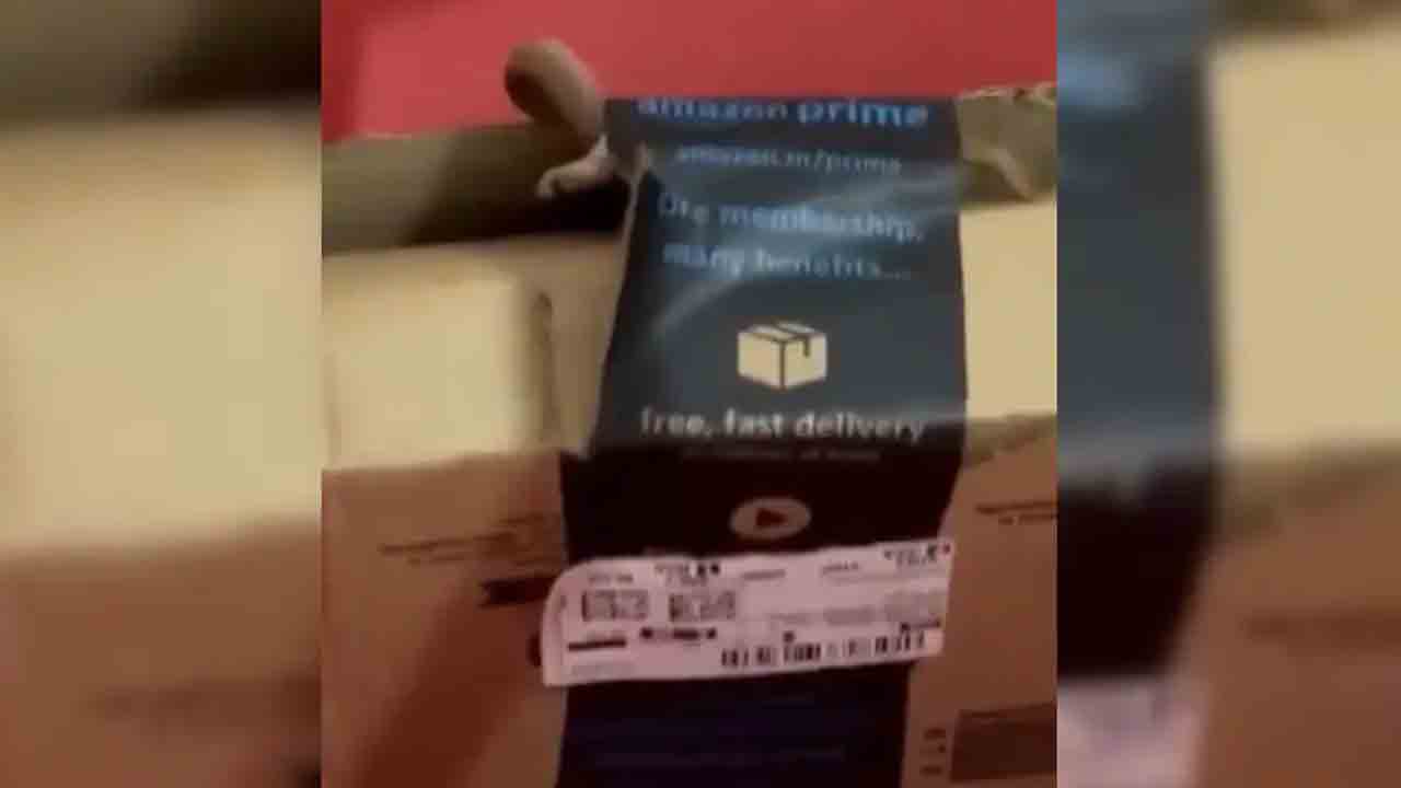 Amazon | ఎక్స్‌బాక్స్‌ కంట్రోలర్‌ని ఆర్డర్‌ చేస్తే.. పార్శిల్‌లో పాము వచ్చింది.. బెంగళూరు జంటకు షాకింగ్‌ అనుభవం