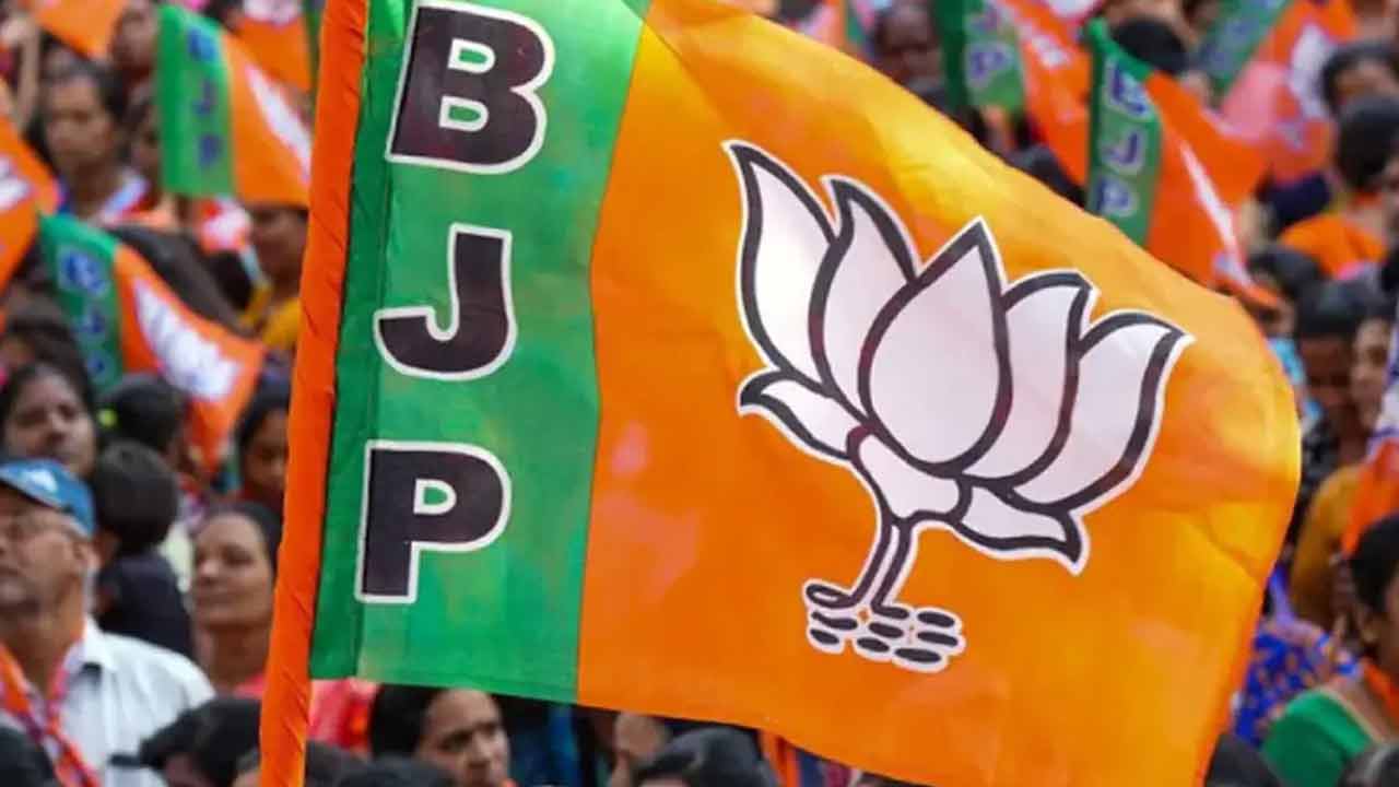 ఓటమి జాడల బీజేపీ దారి ఎటువైపు?