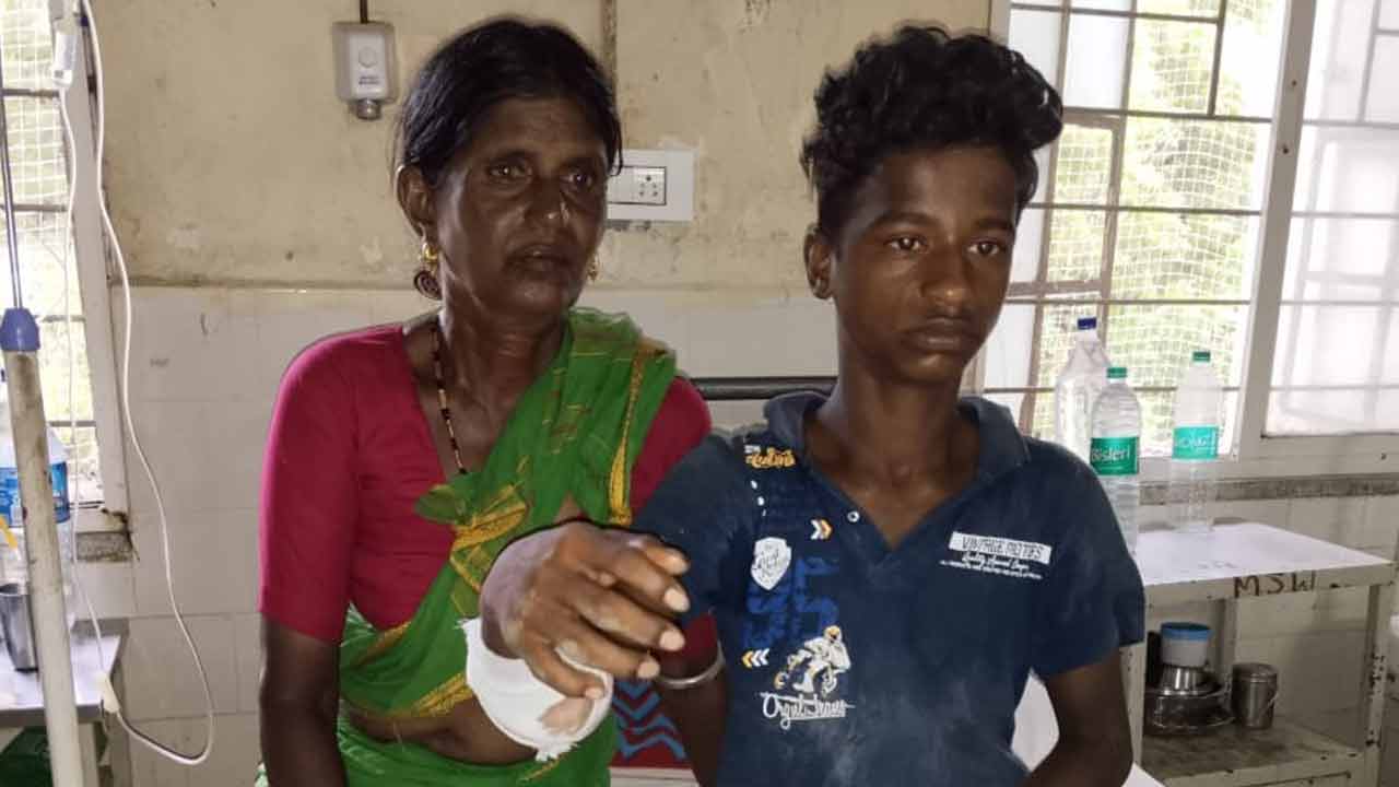 గుర్రాల బీభత్సం