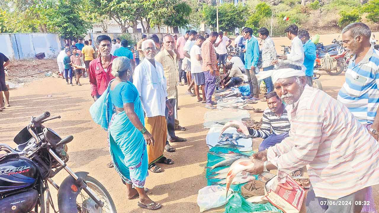 నేడు మృగశిర కార్తె