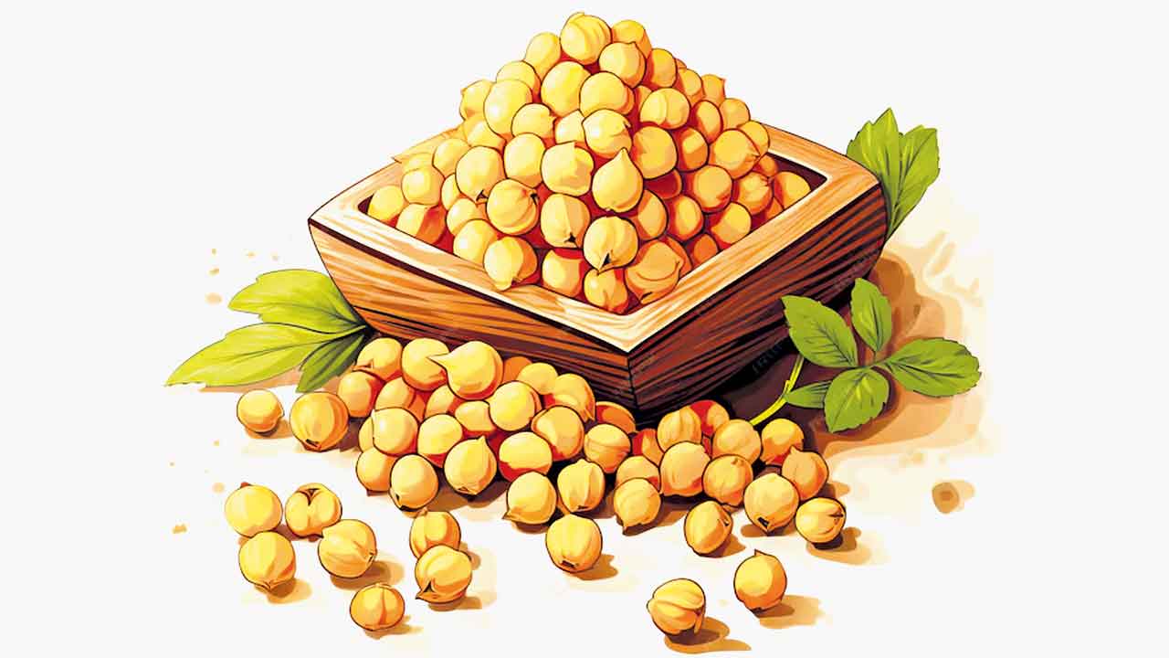 Chickpea | పప్పు దాన్యాల పెద్దన్న