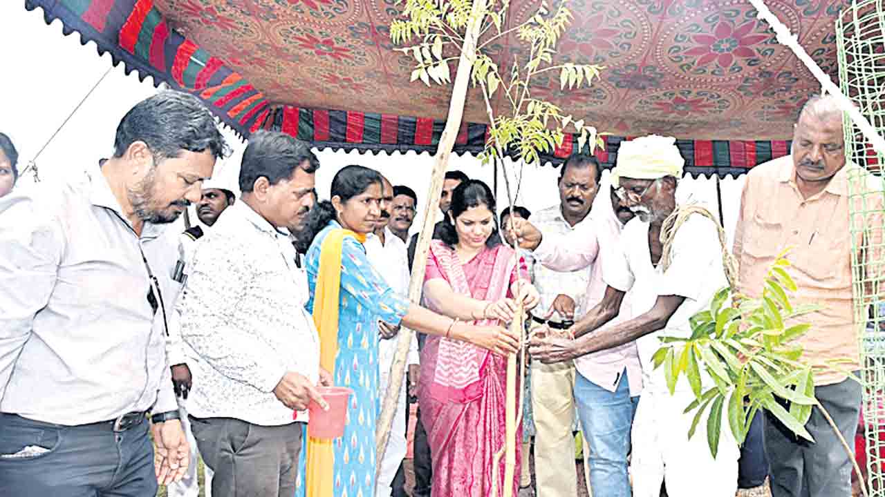 పర్యావరణ పరిరక్షణ అందరి బాధ్యత