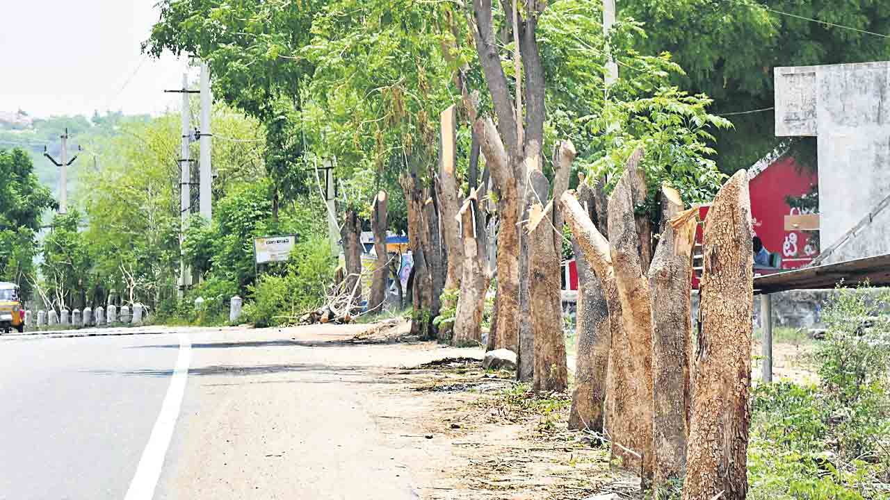 పచ్చని చెట్లపై గొడ్డలివేటు!