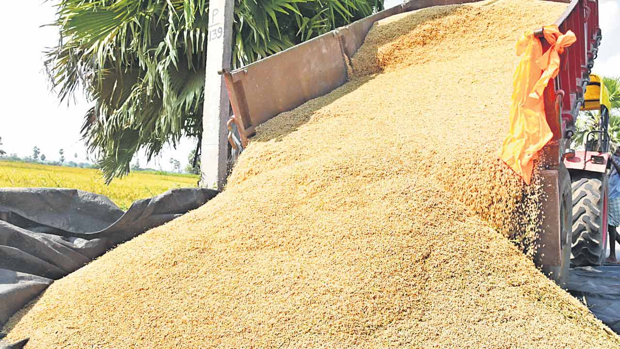 సన్నాల సాగు అంతంతే..!