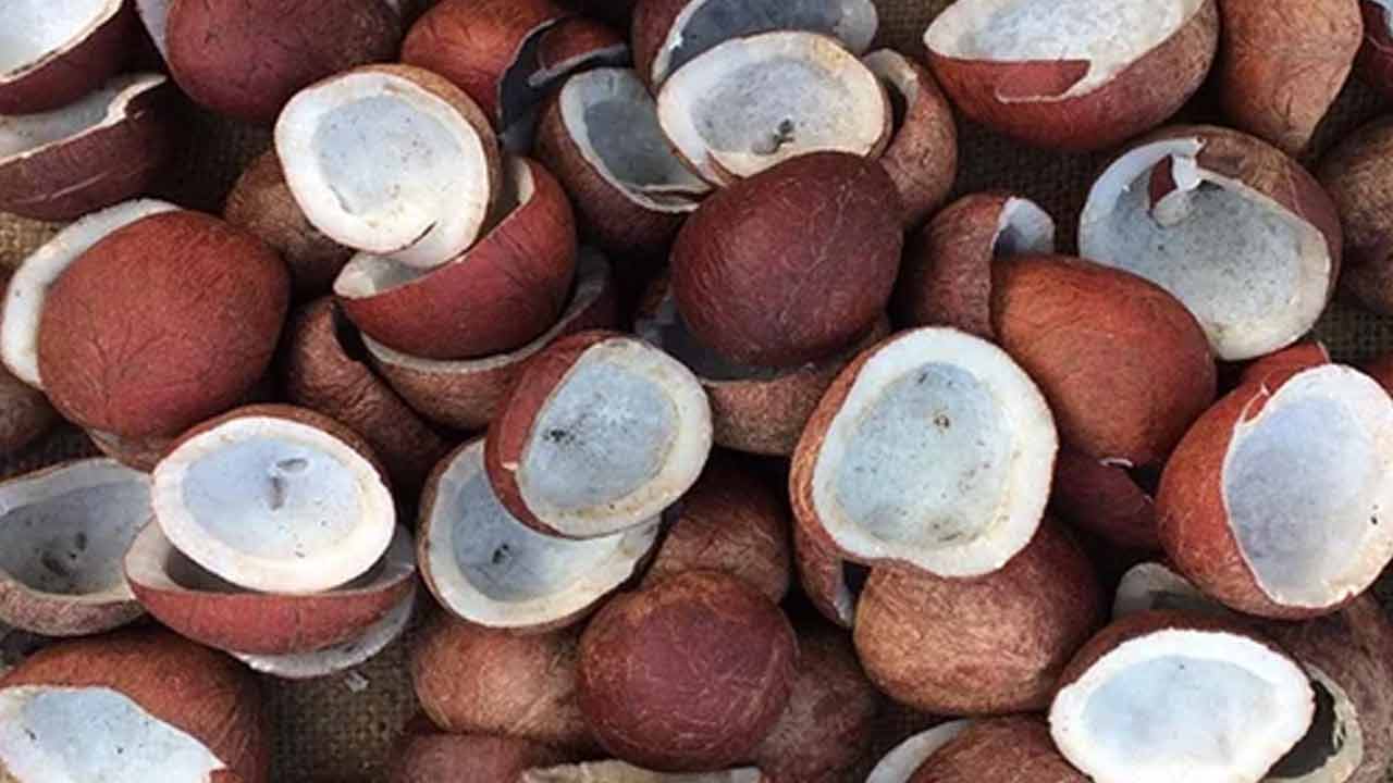 Health tips | ఎండు కొబ్బరితో ఎన్ని లాభాలో.. తెలిస్తే తినకుండా అస్సలు ఉండరు..!