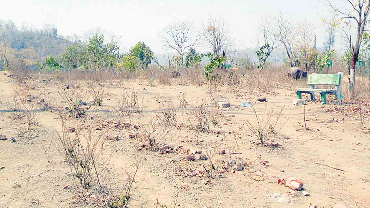 కళతప్పిన ప్రకృతి వనాలు