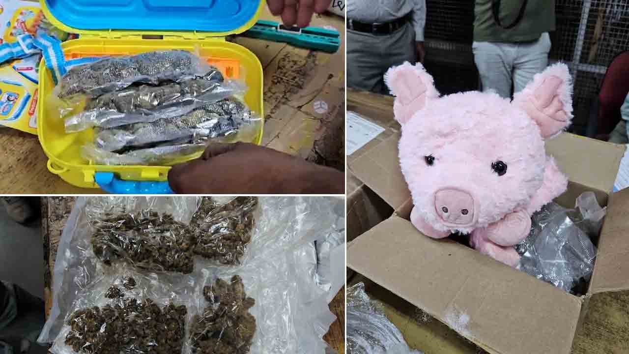 Drugs | చిన్నారుల టాయ్స్‌, లంచ్‌ బాక్సుల్లో దాచి డ్రగ్స్‌ రవాణా.. పట్టుకున్న కస్టమ్స్‌ అధికారులు