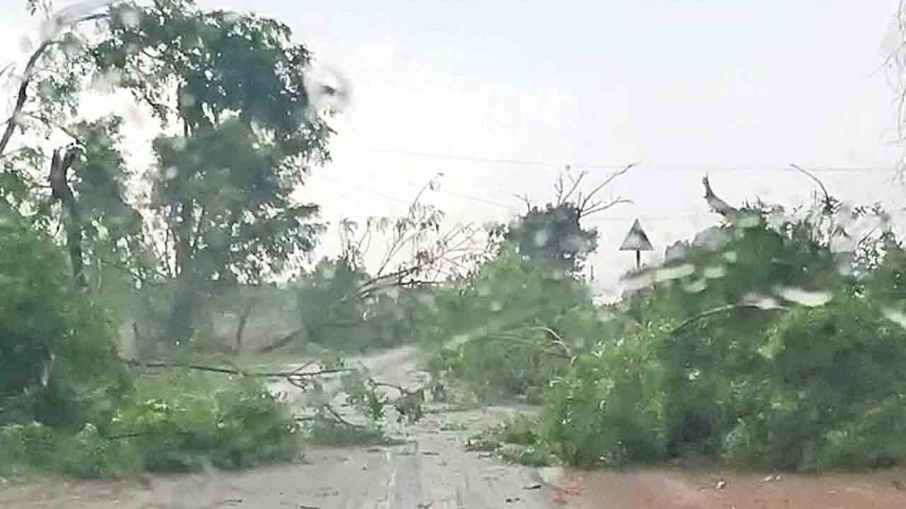 దంచికొట్టిన వాన